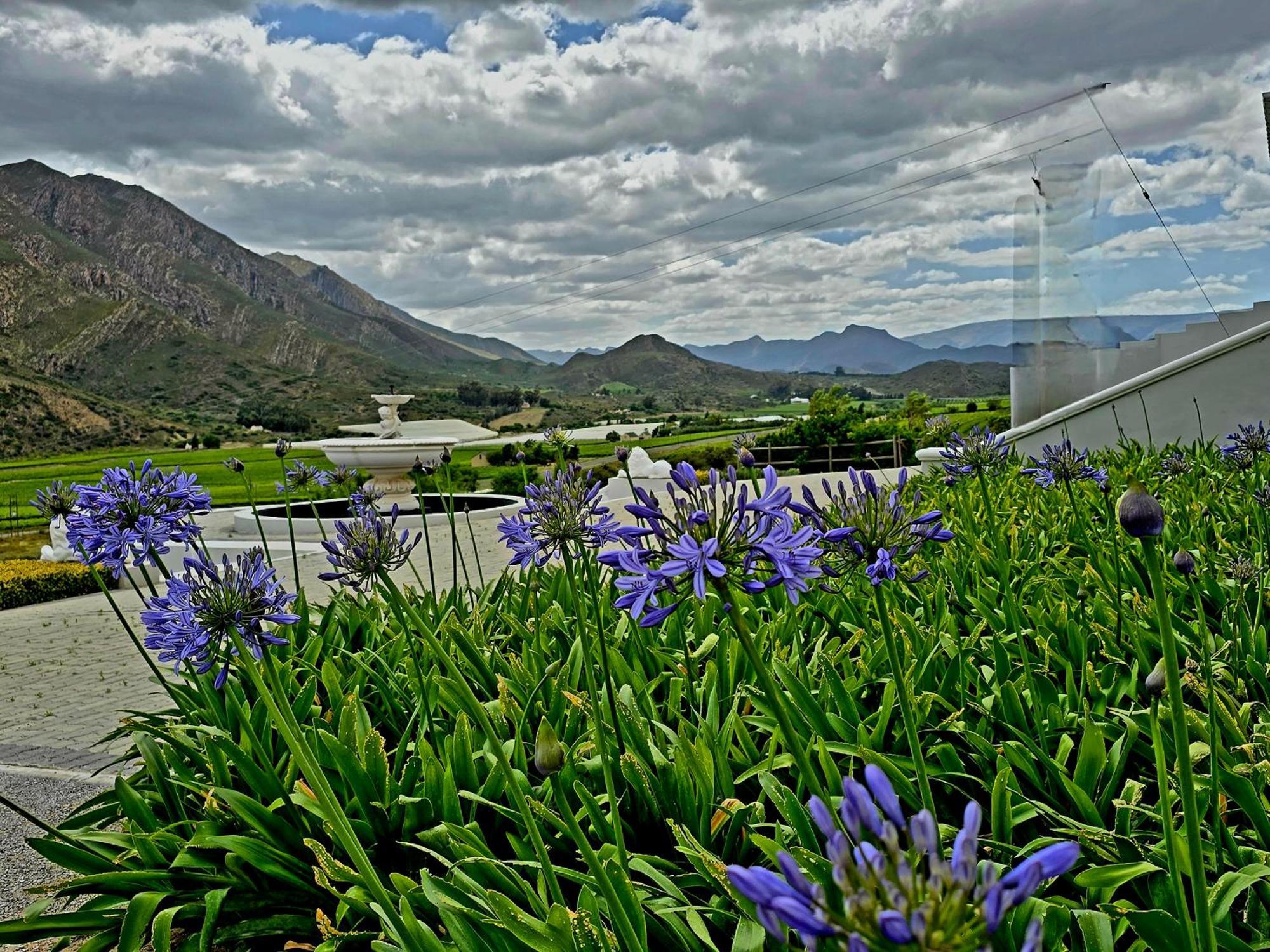 Pjure Boutique Hotel & Spa 蒙塔古 外观 照片